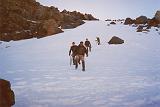 Fase de Nieve020